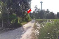 https://songkhla.ohoproperty.com/100693/ธนาคารไทยพาณิชย์/ขายที่ดินว่างเปล่า/•เขาพนม/•เขาพนม/•กระบี่/