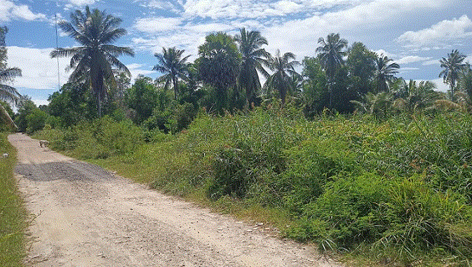 ที่ดินหลุดจำนอง ธ.ธนาคารกรุงเทพ เกาะแต้ว เมืองสงขลา สงขลา